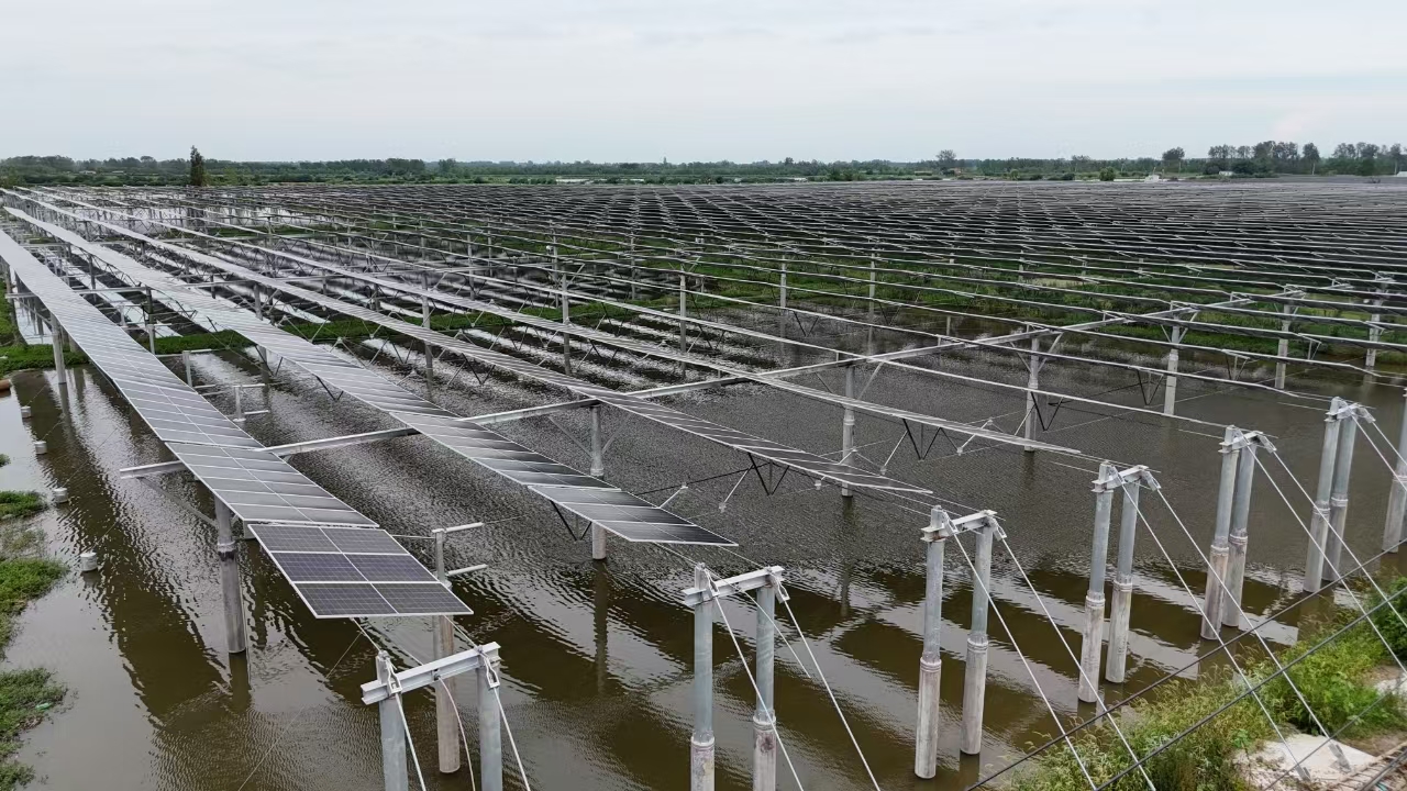湖北监利渔光互补1.jpg